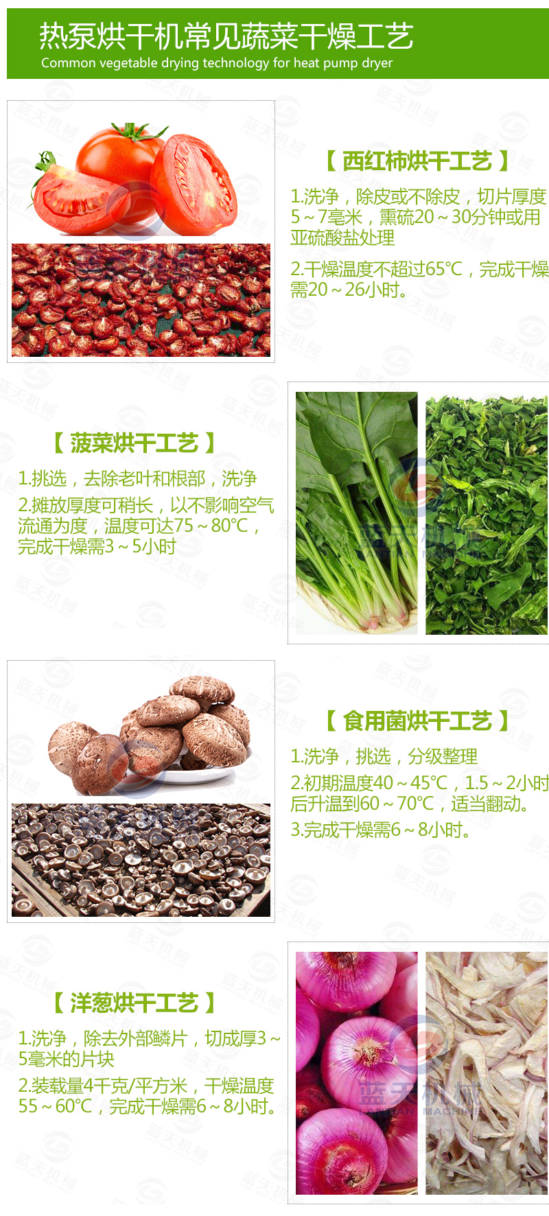 帶式青菜烘干機(jī)常見干燥工藝