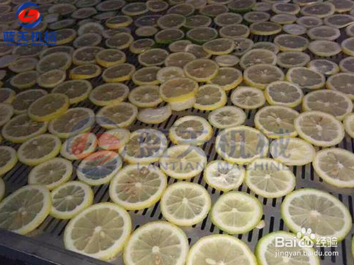 云南水果烘干機(jī)用戶現(xiàn)場