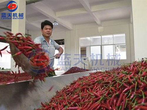 貴州帶式辣椒烘干機(jī)用戶(hù)現(xiàn)場(chǎng)