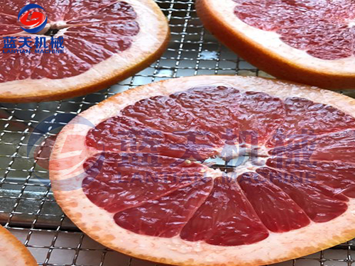 廣西水果烘干機(jī)用戶(hù)現(xiàn)場(chǎng)