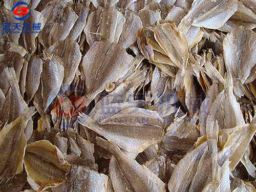 浙江魚干烘干機(jī)用戶現(xiàn)場(chǎng)